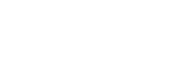ProStar Courier Logo